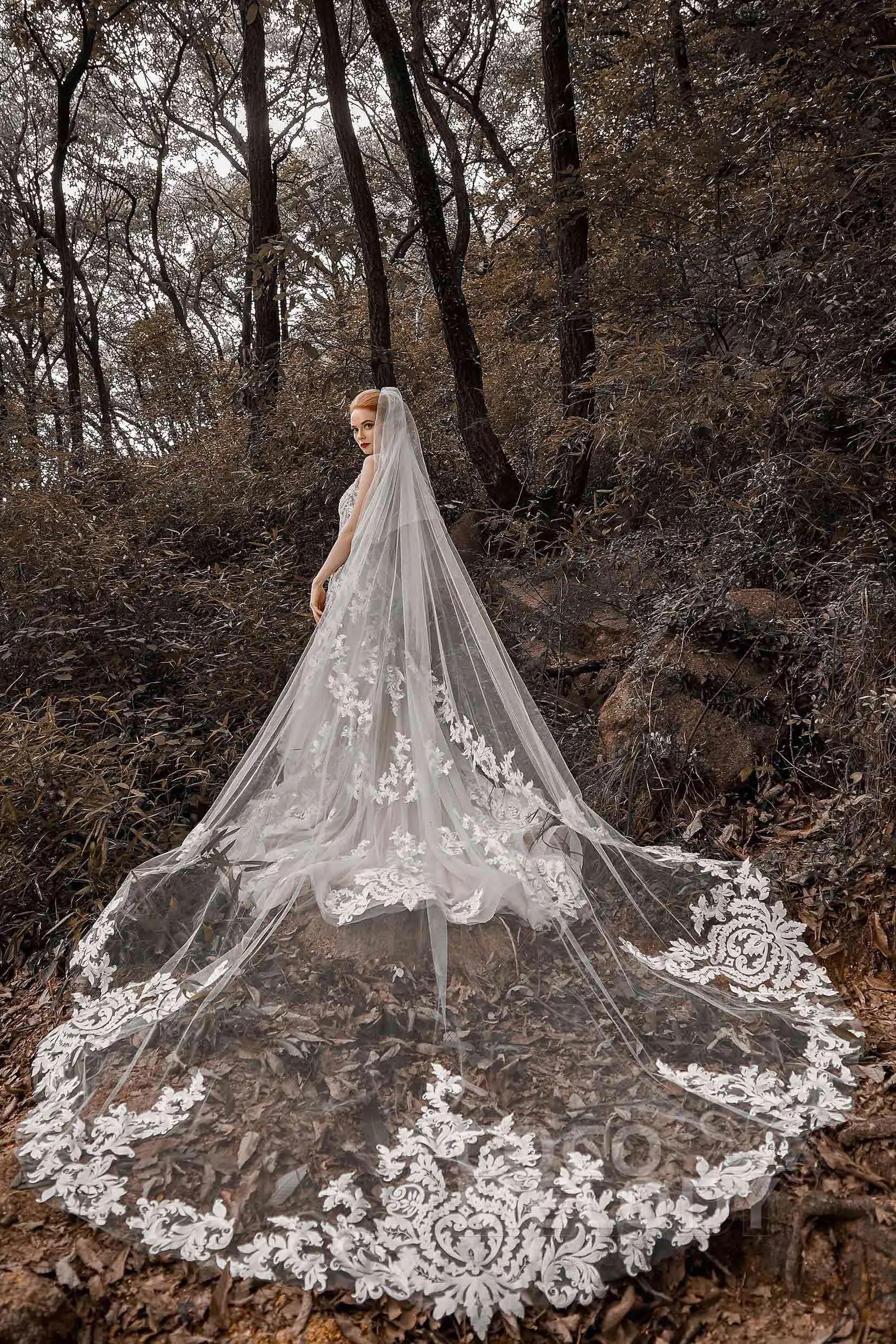 Bridal Veils. Mobile Image